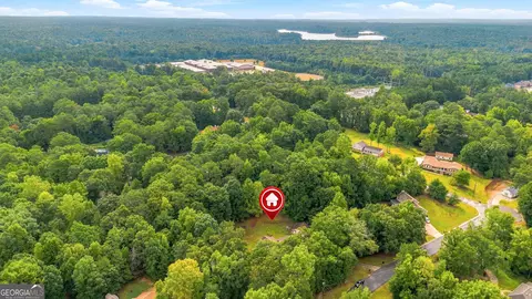 View/Area - 760 Pine Needle Rd, Hampton, GA 30228 photo 4 of 6