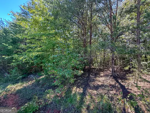 Tract 2 Sunshine Ridge Dr, Toccoa, GA 30577 photo 4