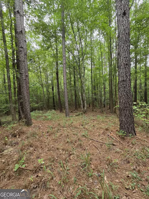 0 Brownlee Rd, Forsyth, GA 31029 photo 9
