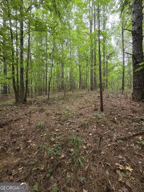 0 Brownlee Rd, Forsyth, GA 31029 photo 7