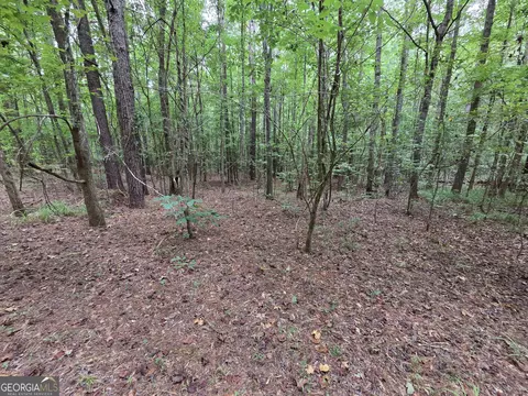 0 Brownlee Rd, Forsyth, GA 31029 photo 6