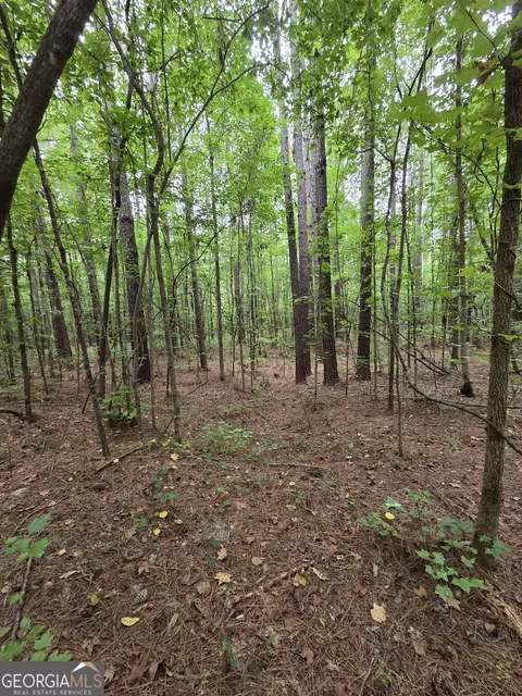 0 Brownlee Rd, Forsyth, GA 31029 photo 8