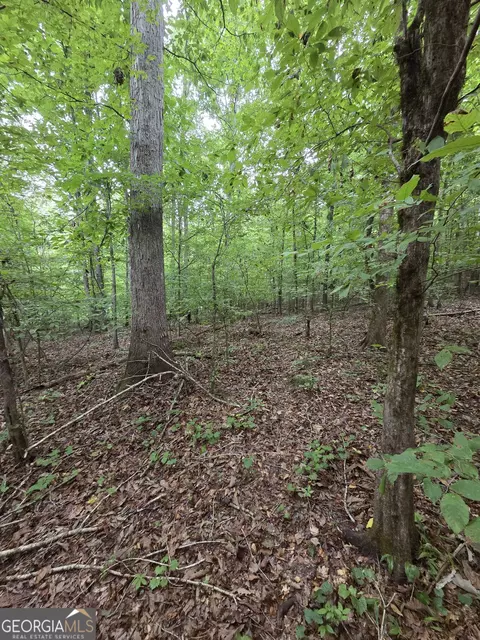 0 Brownlee Rd, Forsyth, GA 31029 photo 10
