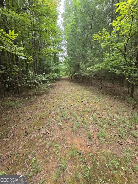0 Brownlee Rd, Forsyth, GA 31029 photo 5