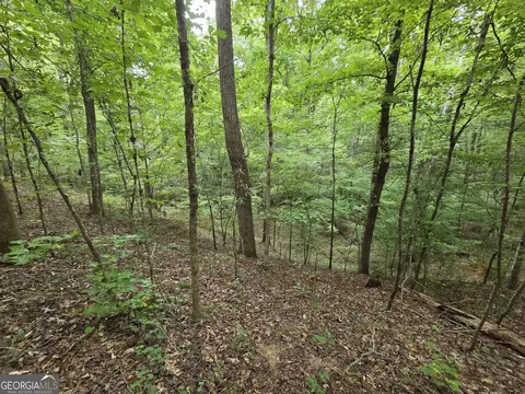 0 Brownlee Rd, Forsyth, GA 31029 photo 18
