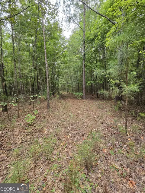 0 Brownlee Rd, Forsyth, GA 31029 photo 4