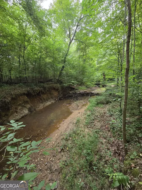 0 Brownlee Rd, Forsyth, GA 31029 photo 13