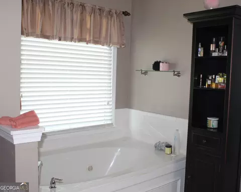 Bath - 35 Harrison Cir, Covington, GA 30016 photo 3 of 4
