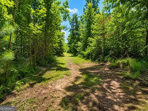 21 Acres Cochran Rd, Madison, GA 30650 photo 4