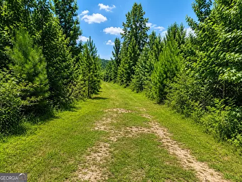 21 Acres Cochran Rd, Madison, GA 30650 photo 6