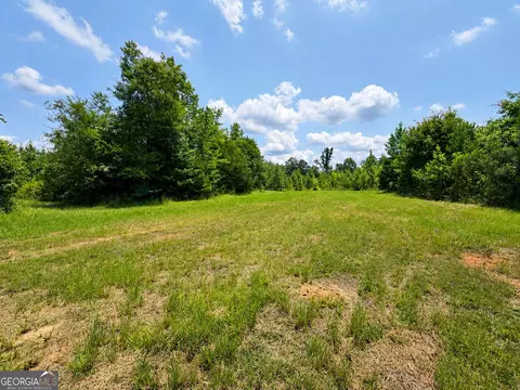 21 Acres Cochran Rd, Madison, GA 30650 photo 11