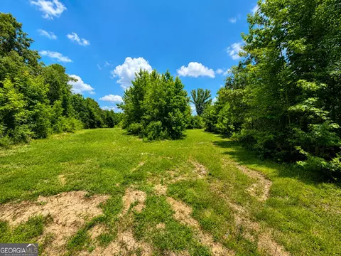 21 Acres Cochran Rd, Madison, GA 30650 photo 10