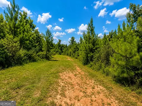 21 Acres Cochran Rd, Madison, GA 30650 photo 5