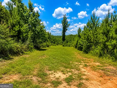 21 Acres Cochran Rd, Madison, GA 30650 photo 12