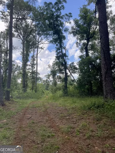 00 Anderson Rd, Woodland, GA 31836