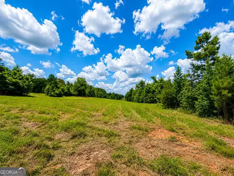 29 Acres Cochran Rd, Madison, GA 30650 photo 13
