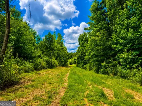29 Acres Cochran Rd, Madison, GA 30650 photo 10