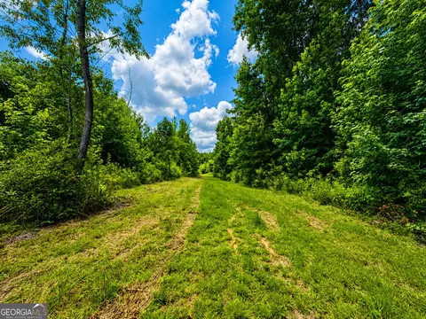 29 Acres Cochran Rd, Madison, GA 30650 photo 9
