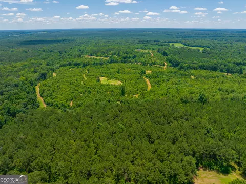 29 Acres Cochran Rd, Madison, GA 30650 photo 21