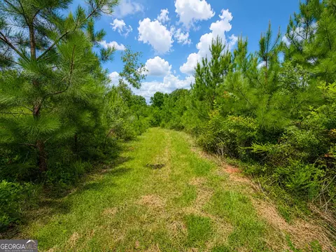 29 Acres Cochran Rd, Madison, GA 30650 photo 6