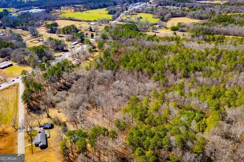 0 Hwy 166 E - 21 Acres E, Bowdon, GA 30108 photo 12