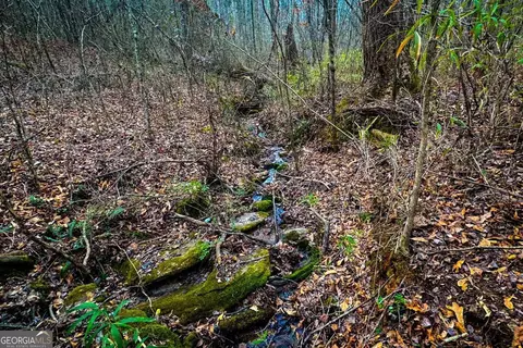 0 Hwy 166 E - 21 Acres E, Bowdon, GA 30108 photo 19