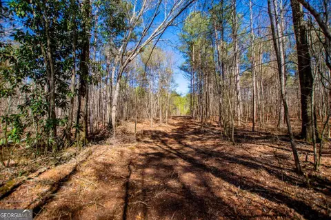0 Hwy 166 E - 21 Acres E, Bowdon, GA 30108 photo 3