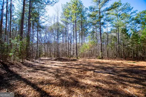 0 Hwy 166 E - 21 Acres E, Bowdon, GA 30108 photo 6