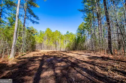 0 Hwy 166 E - 21 Acres E, Bowdon, GA 30108 photo 4