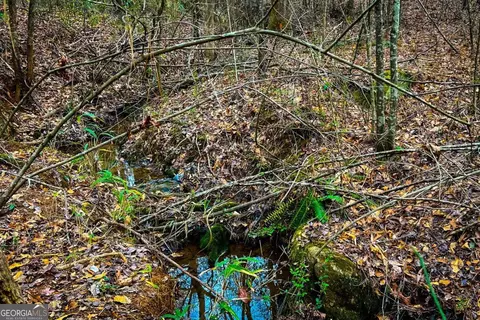 0 Hwy 166 E - 21 Acres E, Bowdon, GA 30108 photo 2