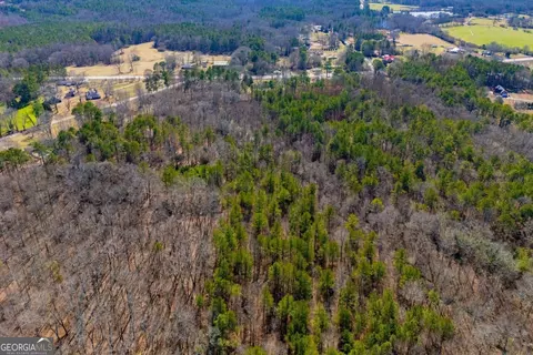 0 Hwy 166 E - 21 Acres E, Bowdon, GA 30108 photo 14