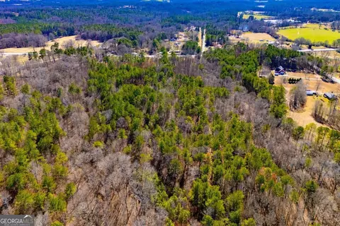 0 Hwy 166 E - 21 Acres E, Bowdon, GA 30108 photo 13