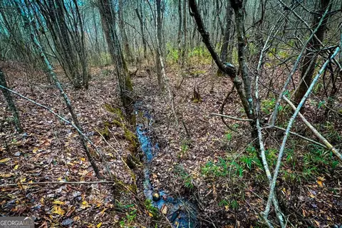 0 Hwy 166 E - 21 Acres E, Bowdon, GA 30108 photo 16