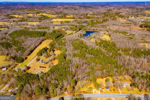 0 Hwy 166 E - 21 Acres E, Bowdon, GA 30108 photo 10