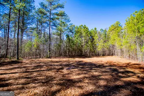 0 Hwy 166 E - 21 Acres E, Bowdon, GA 30108