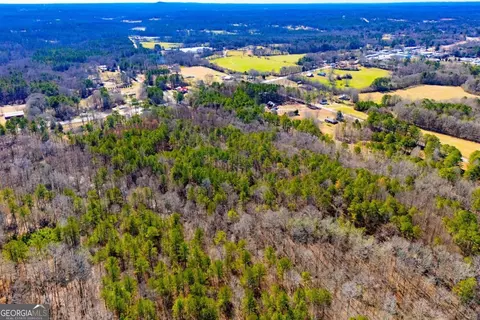 0 Hwy 166 E - 21 Acres E, Bowdon, GA 30108 photo 15