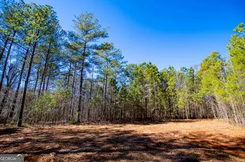 0 Hwy 166 E - 21 Acres E, Bowdon, GA 30108 photo 5