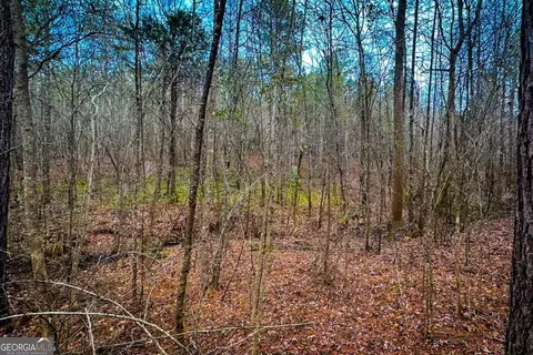 0 Hwy 166 E - 21 Acres E, Bowdon, GA 30108 photo 20