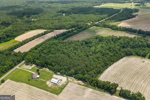 17384 Old River Rd, Garfield, GA 30425 photo 7