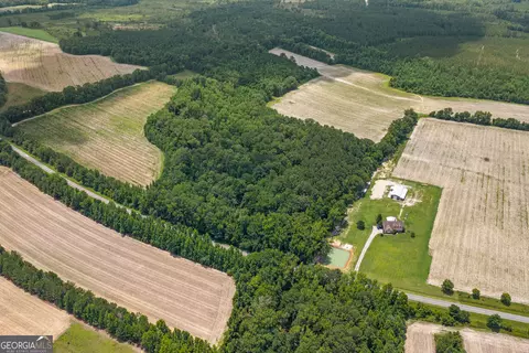 17384 Old River Rd, Garfield, GA 30425 photo 6