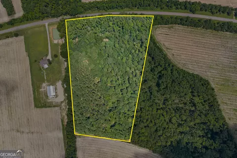 17384 Old River Rd, Garfield, GA 30425