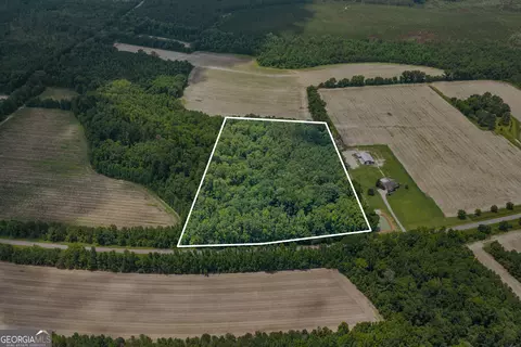 17384 Old River Rd, Garfield, GA 30425 photo 3