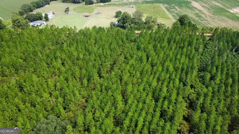 Tract 2 A L Reeves Road, Fitzgerald, GA 31750