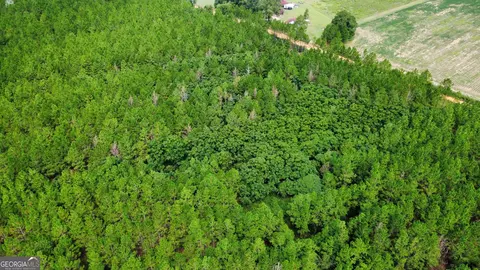 Tract 3 A L Reeves Road, Fitzgerald, GA 31750