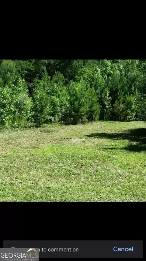 221 Turtle Dr, Richmond Hill, GA 31324