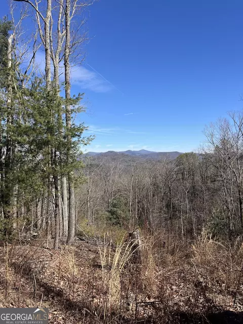 0 Eastman Mtn Rd, Tiger, GA 30576