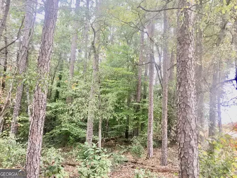 0 Hwy 17 Alt, Toccoa, GA 30577 photo 3