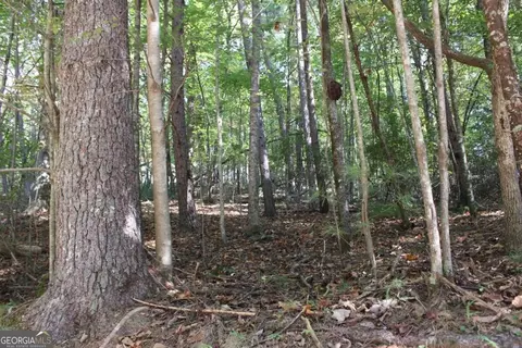 lot546 Satsuma North Ct, Ellijay, GA 30540