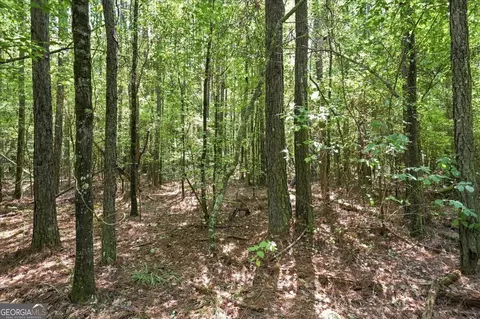 0 Cherokee Rd, Elberton, GA 30635 photo 4