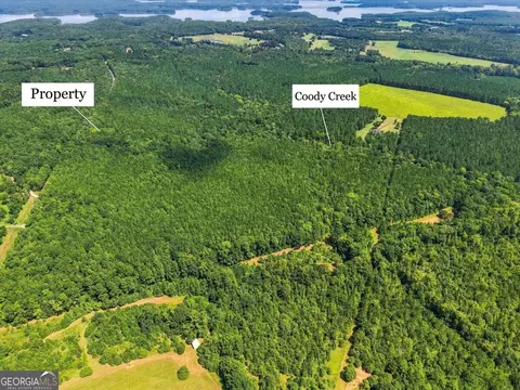 0 Cherokee Rd, Elberton, GA 30635 photo 11